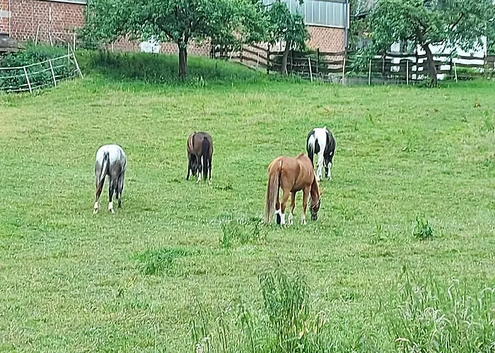 Monteurwohnung In Warstein